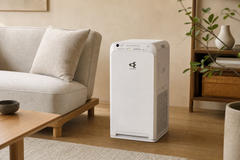 Daikin MC30Y Compact Purifier, image 2