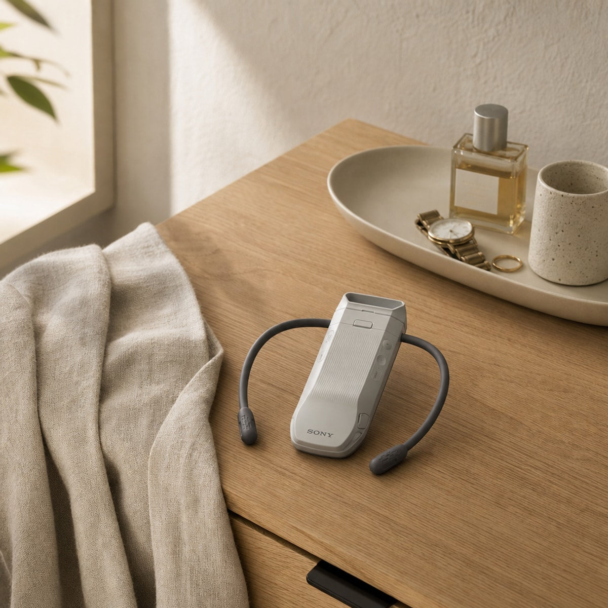 Sony Reon Pocket Pro Plus in the home